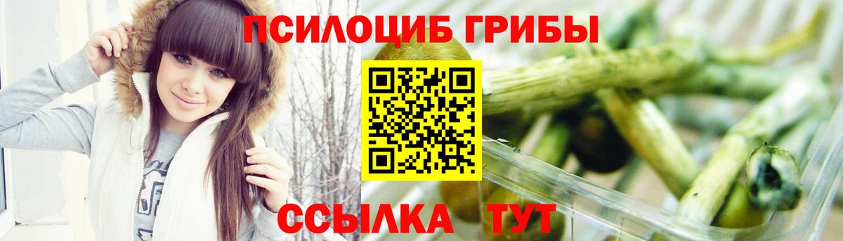 Псилоцибиновые грибы GOLDEN TEACHER  Вход с VPN  Галлюциногенные грибы мицелий  Ирбит 